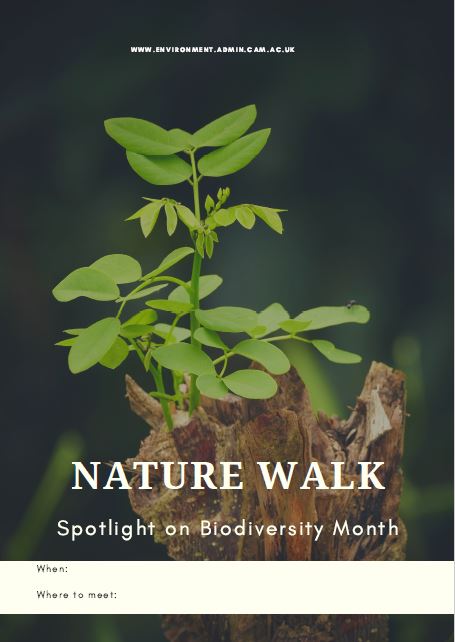 Nature walk poster