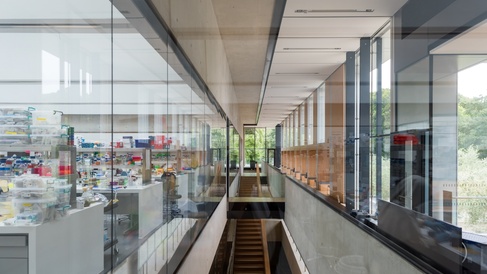 An image of the inside of a university building. 