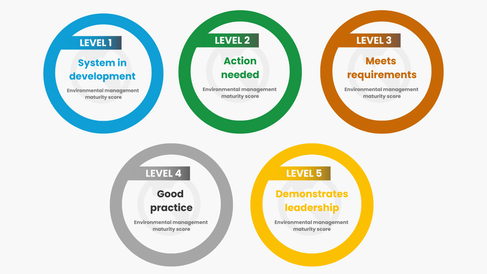 Icons displaying level 1 to 5 of the EMS maturity matrix