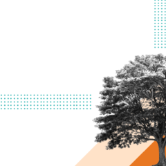 Abstract illustration to represent financial and economic matters. A greyscale tree overlayed on top of orange triangle shapes, with a greyscale stack of pound coins to the left, overlayed on a blue diamond shape. 