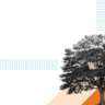 Abstract illustration to represent financial and economic matters. A greyscale tree overlayed on top of orange triangle shapes, with a greyscale stack of pound coins to the left, overlayed on a blue diamond shape. 