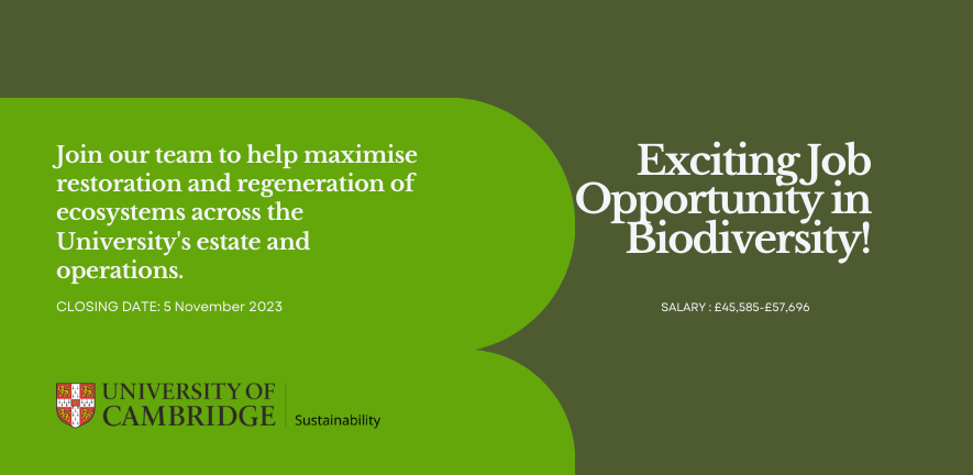Advertisement for biodiversity manager 
