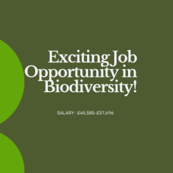 Advertisement for biodiversity manager 