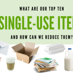 What are our top 10 single-use items and how can we reduce them?